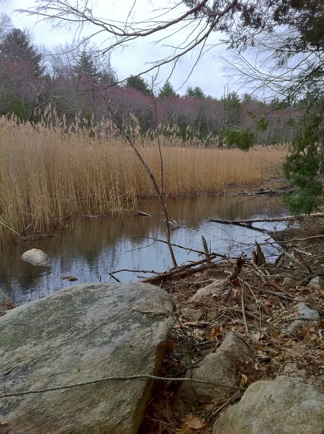 Old Furnace State Park — Old Furnace Trail / Ross Cliffs