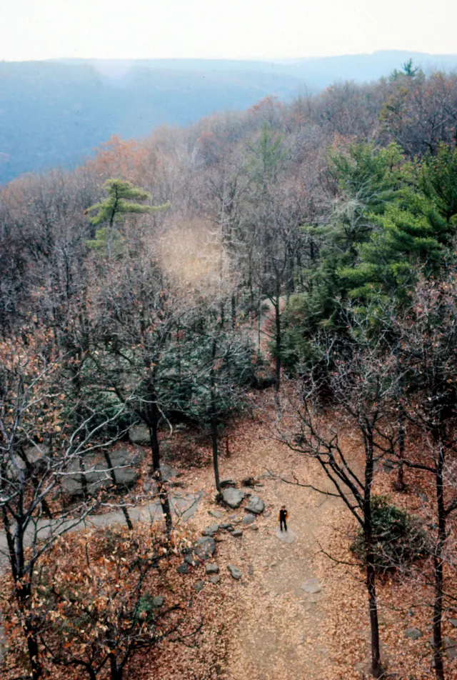 Cook Forest State Park — Fire Tower #9 and Seneca Point