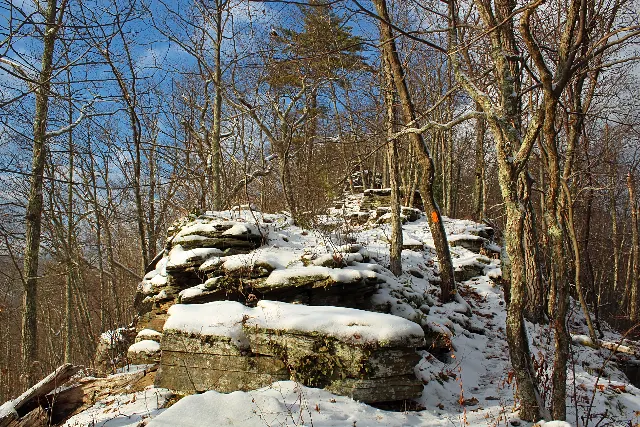 Tiadaghton State Forest — Golden Eagle Trail