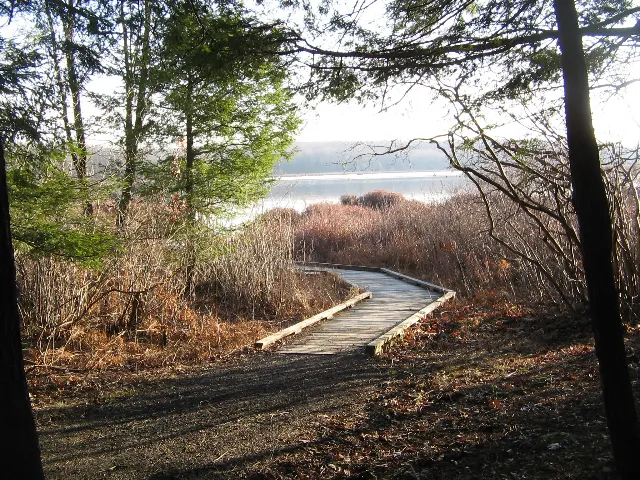 Black Moshannon State Park — Bog Trail