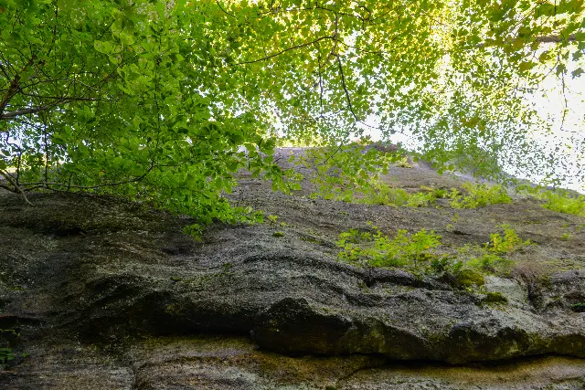 Rimrock Hiking Trail and Overlook