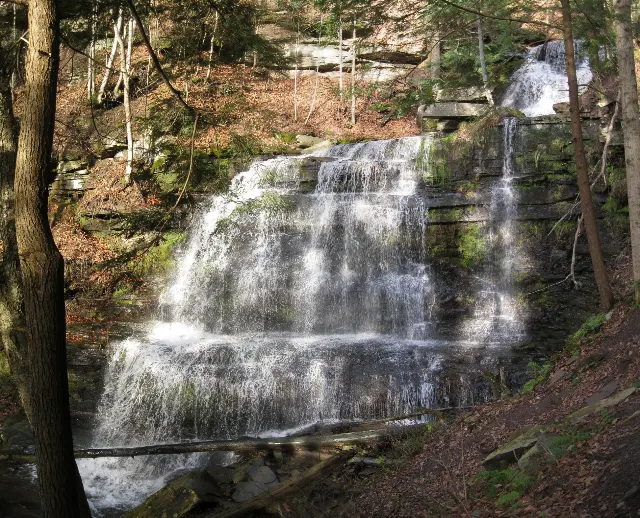 Leonard Harrison State Park — Turkey Path Trail