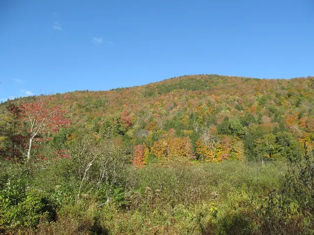 Thundering Falls
