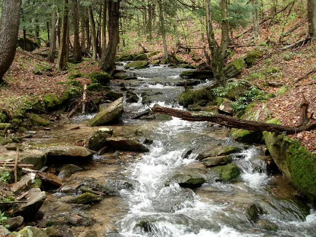 Minister Creek Hiking Trail