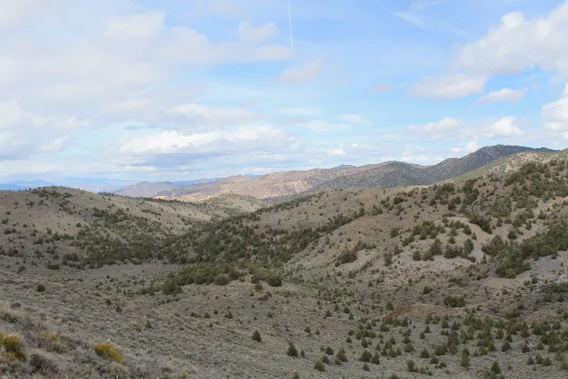 Jumbo Grade Historic Road