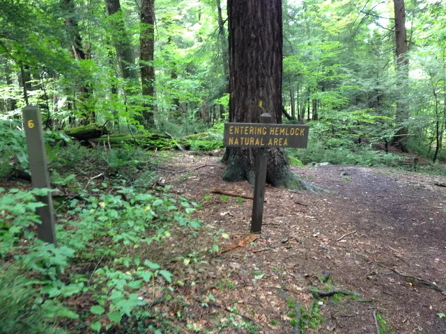 Laurel Hill State Park — Hemlock Trail Natural Area