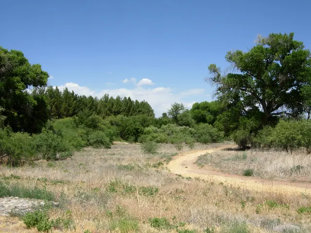 Dead Horse Ranch State Park — Lime Kiln Mountain Bike Loop