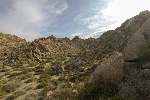 McDowell Mountain Regional Park — Competitive Track Long Loop