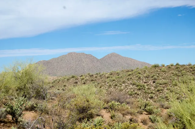 Saguaro Lake — Desert Cove Kayaking