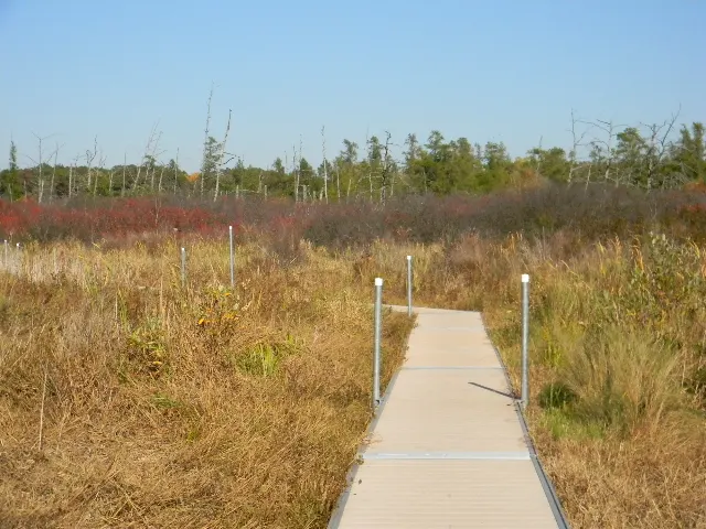 Volo Bog State Natural Area Boardwalk