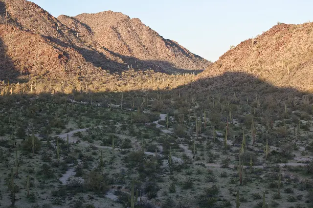 Brittlebush Trailhead