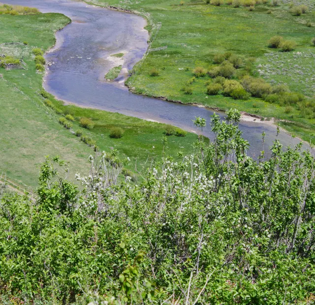 Morgan’s Bridge — Blackfoot River Walk