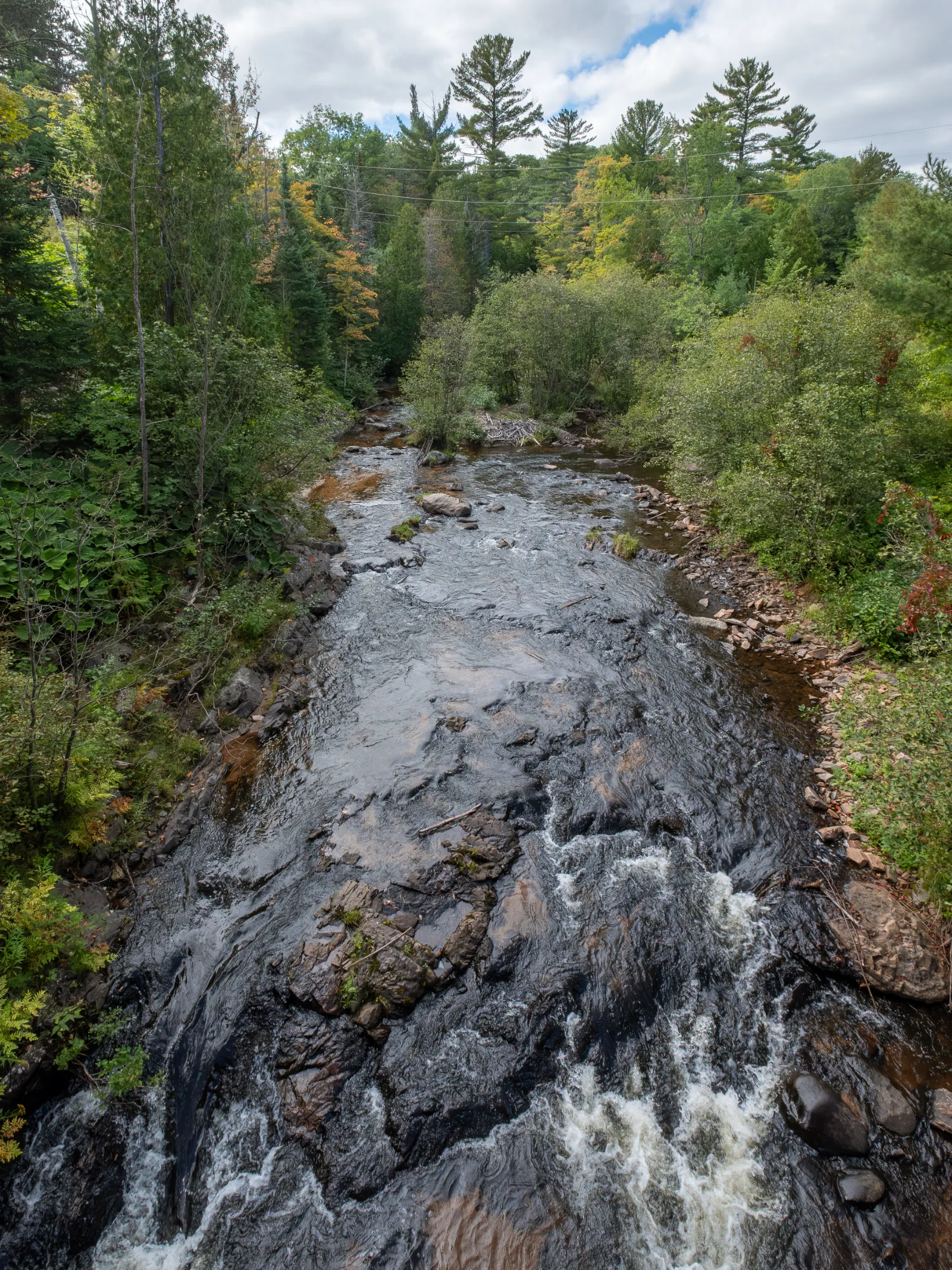 Dead River Falls Trail