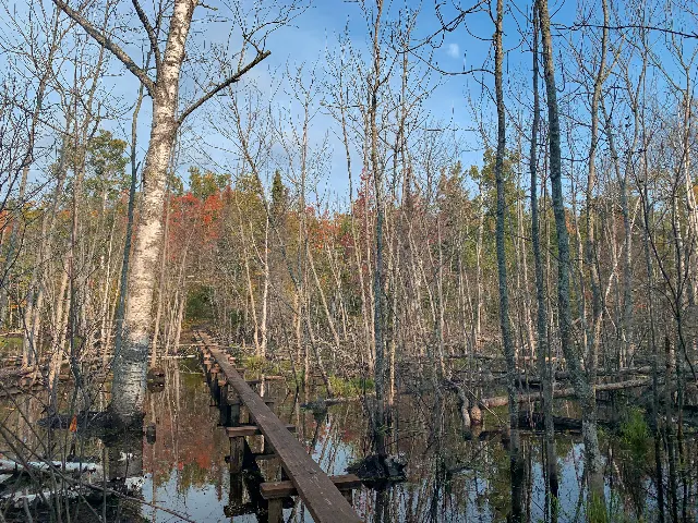 Greenstone Ridge Trail Isle Royale Traverse