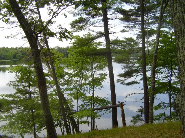 Ludington State Park Skyline Trail