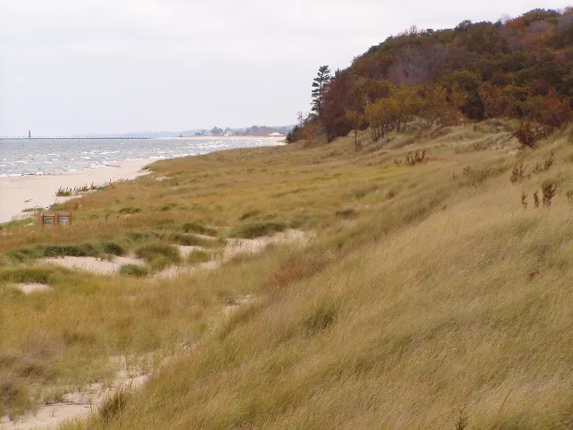 Rosy Mound Natural Area Dune Boardwalk