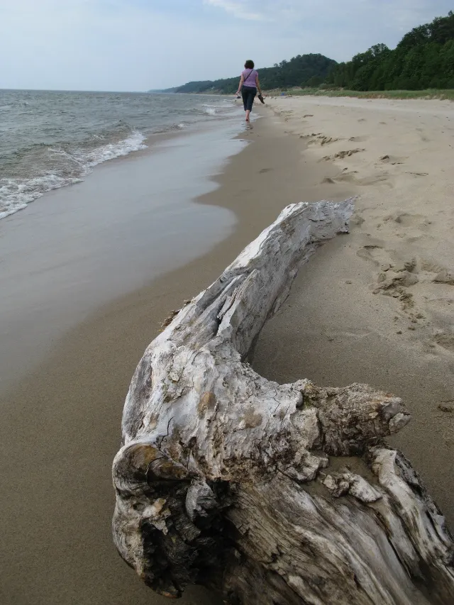 Saugatuck Dune Rides