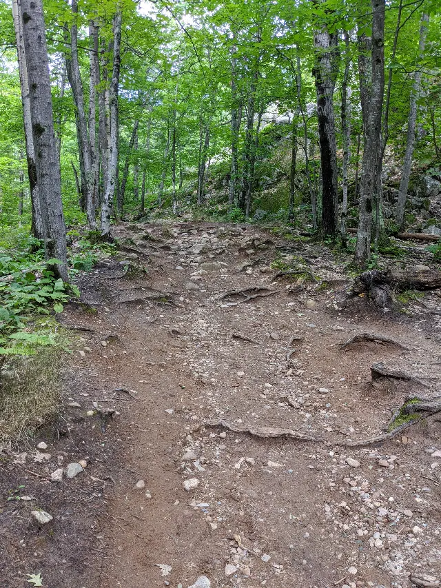 Sugarloaf Mountain Trail