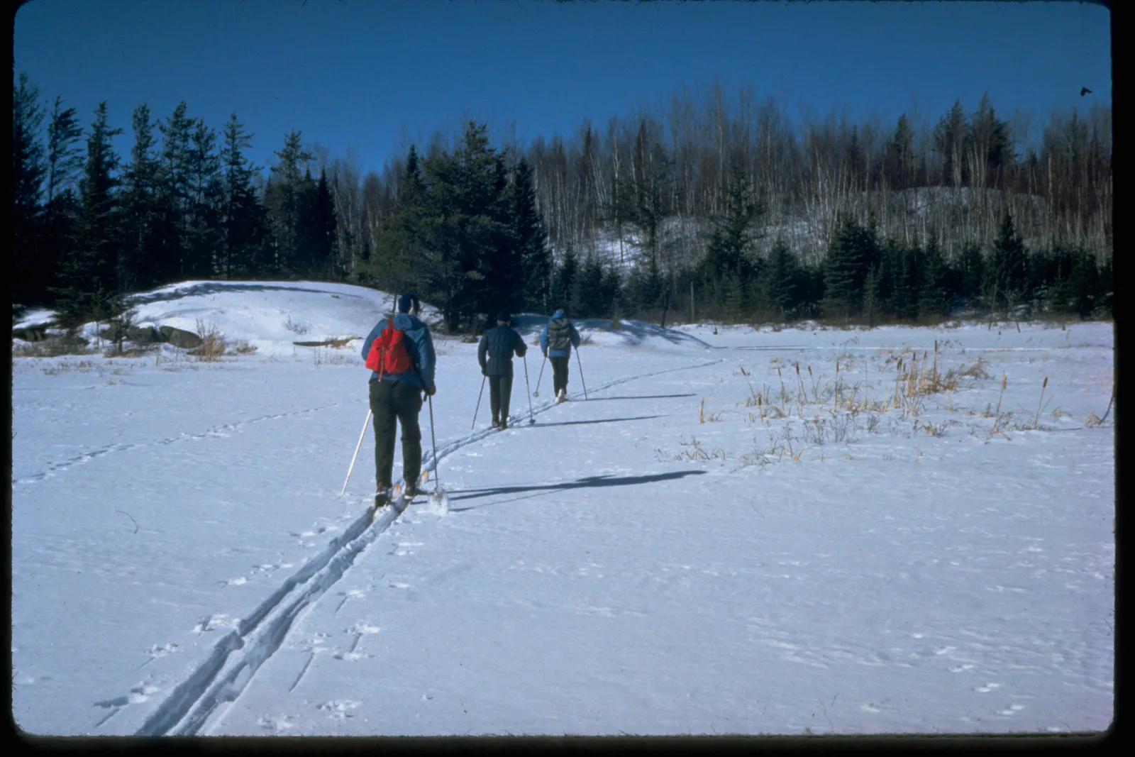 Boundary Waters Overnight Guided Canoe Expedition