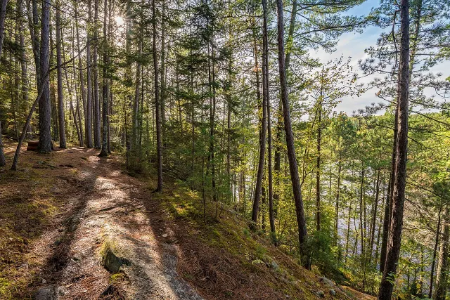 Vermilion Gorge Trail