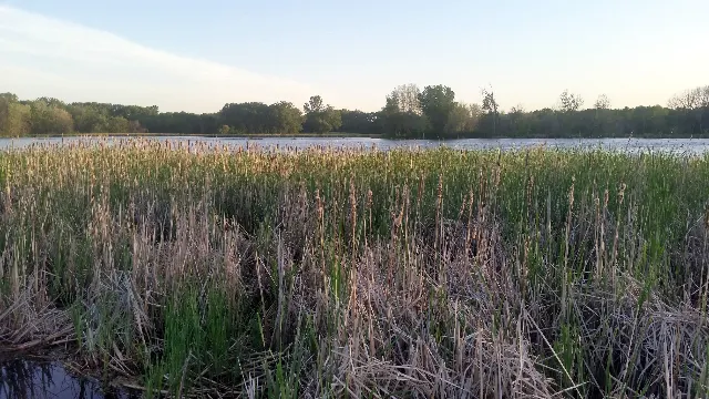 Westwood Hills Nature Center Marsh and Woodland Trails