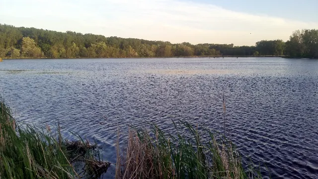 Wood Lake Nature Center Marsh Boardwalk