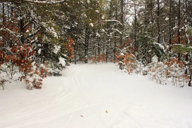 Mirror Lake State Park Pine Loop Winter Snowshoe