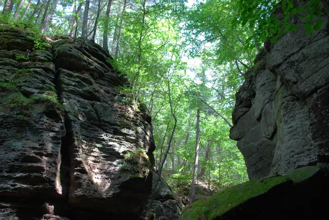 Parfreys Glen State Natural Area Gorge Walk