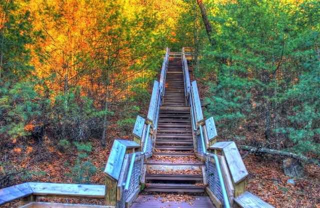 Roche-a-Cri State Park Mound Trail