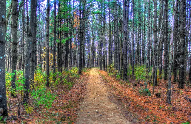 Wildcat Mountain State Park Old Settlers Trail
