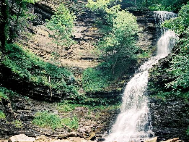 Cathedral Falls Roadside Gorge Walk