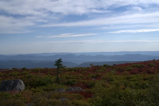 Dolly Sods Wilderness North Loop