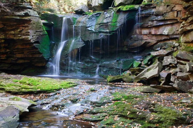 Elakala Falls Trail