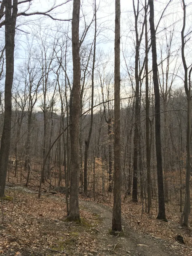Kanawha State Forest Woodland Mountain Biking