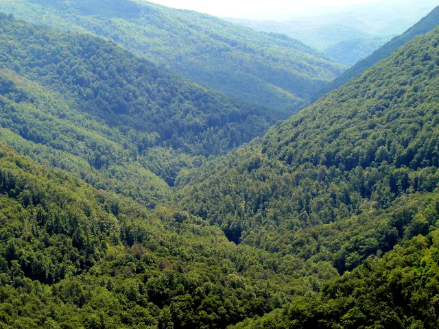 Lindy Point Trail Over Blackwater Canyon